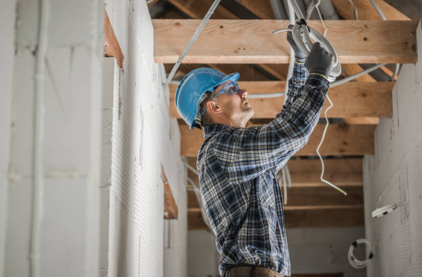 Best Ceiling Fan Installation Electrician  in Tton, IL